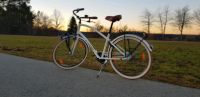 Fahrrad,  Kultmarke Electra,  Townie Men's 7d Nordfriesland - Sankt Peter-Ording Vorschau