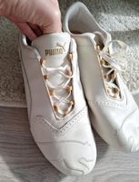 Puma Lederschuhe, creme/weiß Gr 42 Turnschuhe Hamburg Barmbek - Hamburg Barmbek-Süd  Vorschau