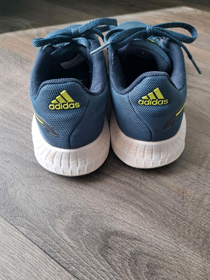 Turnschuh ADIDAS Jungs Größe 36 in Weißenfels