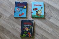 Der Kleine Drache Kokosnuss 3 Bücher Brandenburg - Brandenburg an der Havel Vorschau