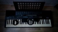 Vintage Yamaha Keyboard psr210 Ludwigslust - Landkreis - Hagenow Vorschau