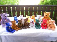 Ty Beanie Babies Teddy Sammlung 15 Stück Unbespielt Neuwertig Rheinland-Pfalz - Alzey Vorschau