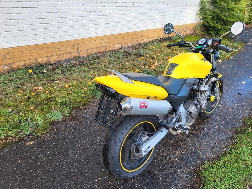 Honda CB600 PC 34 Hornet in Idar-Oberstein