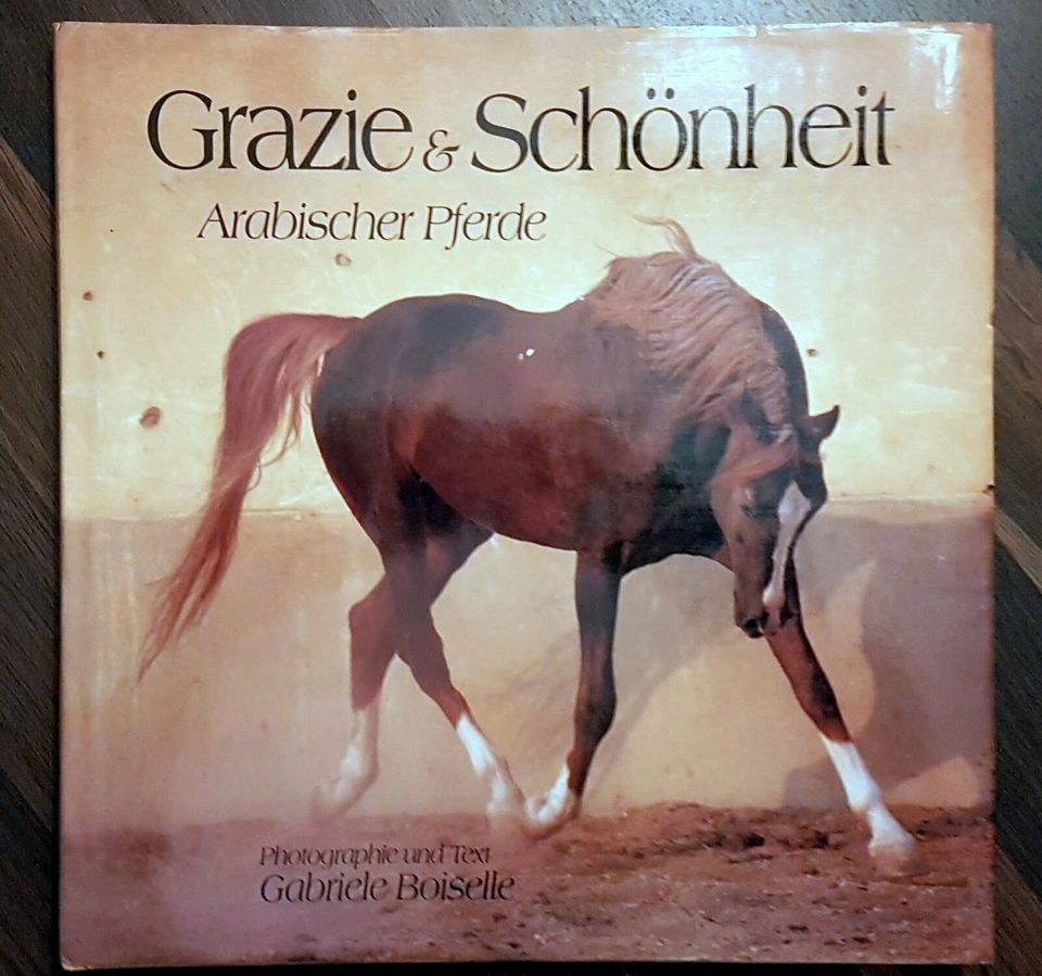 Araber - Grazie und Schönheit * Hengste Stuten weltweit * 1,8kg in Duisburg