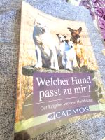 Buch "welcher Hund passt zu mir" Ratgeber Chemnitz - Schloßchemnitz Vorschau