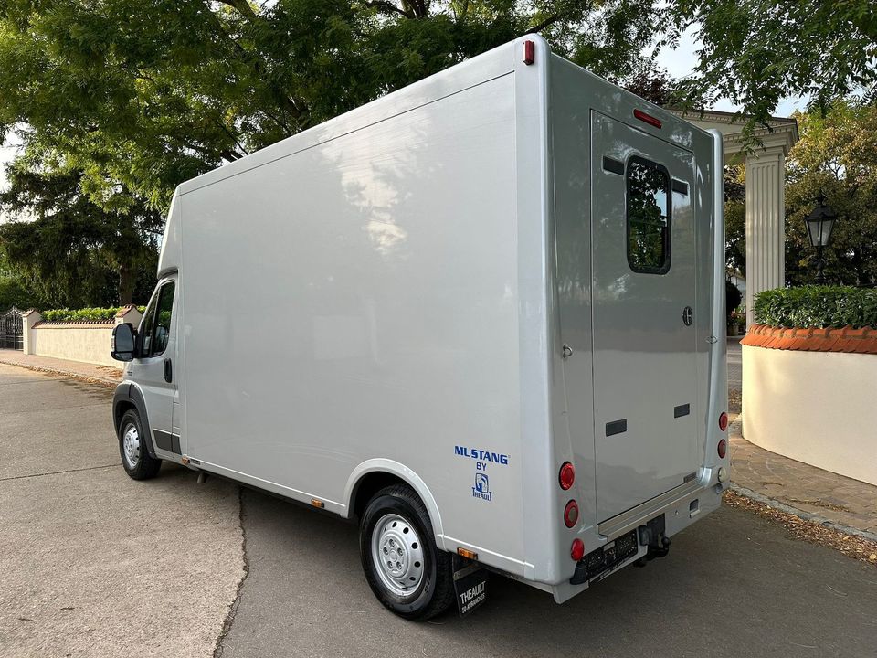 Fiat Ducato Theault 1-2 Pferdetransporter Haras 180PS Automatik in Heilbronn