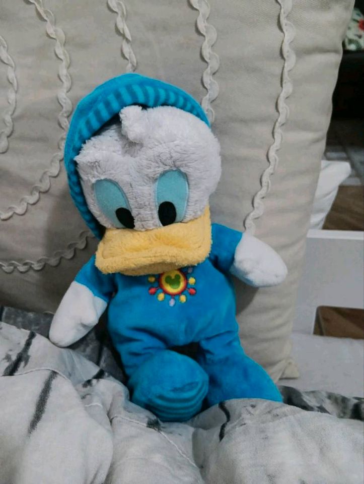 Kleiner Donald Duck mit Kapuze in Lünen