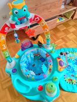 Baby Einstein 2-in-1 Lights & Sea Activity Gym & Untertasse Hessen - Niederaula Vorschau