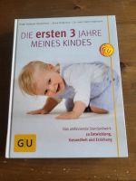 Die ersten 3 Jahre meines Kindes Stuttgart - Hedelfingen Vorschau