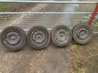 Stahlfelgen mit neuwertigen Reifen Niedersachsen - Varrel Vorschau