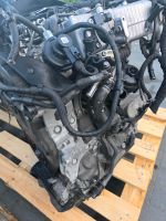Audi 2.0 TDI Motor DTP DFB DEZ Engine Hybrid Berlin - Tempelhof Vorschau