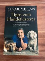 Cesar Millan Rheinland-Pfalz - Koblenz Vorschau