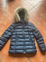 Damen Jacke Tommy Hilfiger Tommy Jeans Gr. L Brandenburg - Eberswalde Vorschau