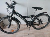 Pegasus Fahrrad Wuppertal - Vohwinkel Vorschau