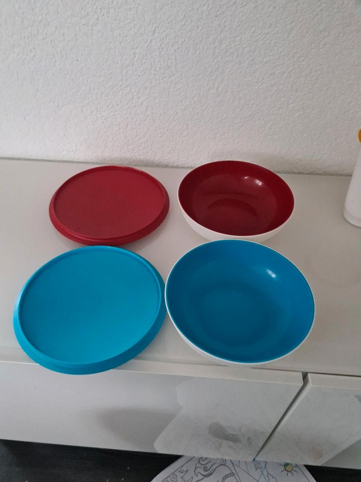 Tupperware alegra Set 12 tlg in Illerrieden