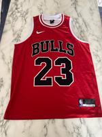 NBA Nike Jordan Icon Edition neu Preis lag bei 280 Euro gr.L Nordrhein-Westfalen - Datteln Vorschau