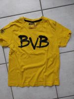 BVB Tshirt 128 Baden-Württemberg - Fellbach Vorschau