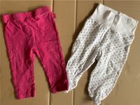 2 Babyhosen / Leggings Größe 62 Blue Seven und Cool Club Brandenburg - Ludwigsfelde Vorschau