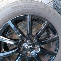 Winterreifen auf Felge Firestone 205/55R16 91H Nordrhein-Westfalen - Unna Vorschau