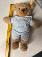 Steiff Teddy 21cm Hessen - Langen (Hessen) Vorschau