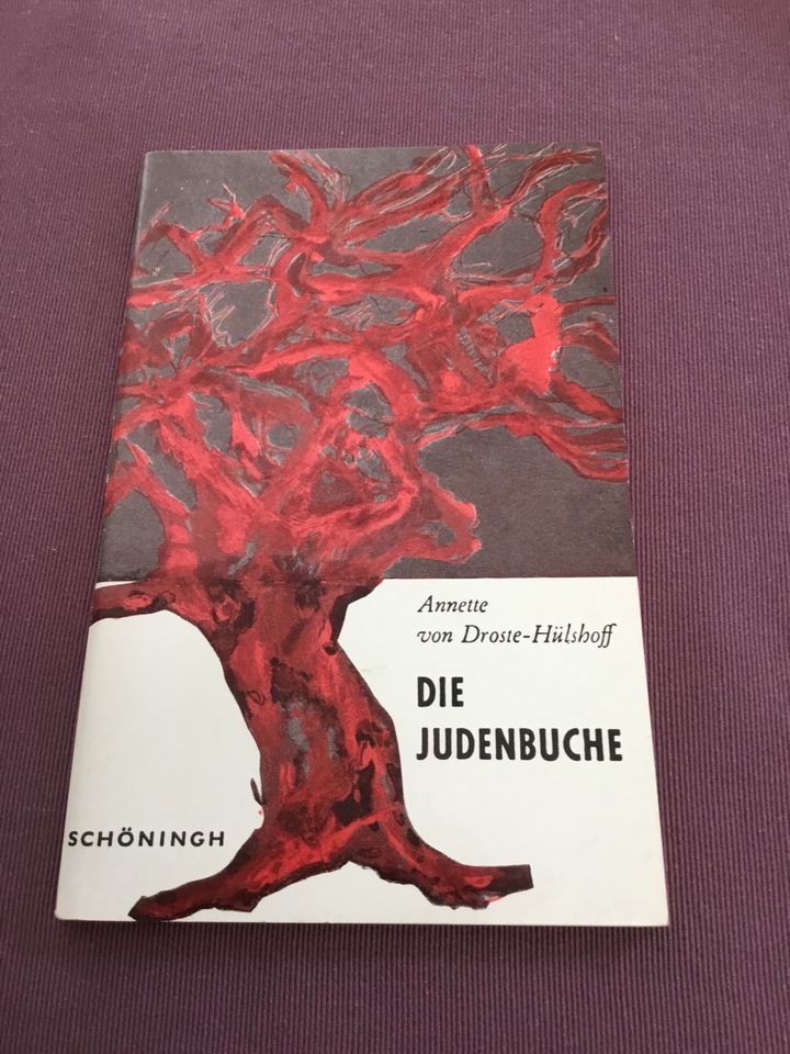 Die Judenbuche - Annette von Droste-Hülshoff in Knittlingen