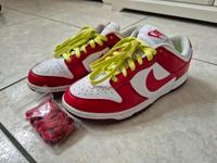 Nike Dunk - weiss rot - Gr.40 Nordrhein-Westfalen - Waltrop Vorschau