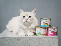 ANIfit Nassfutter Katze mit 15 EUR Gutschein ANIfit Bayern - Eggenfelden Vorschau