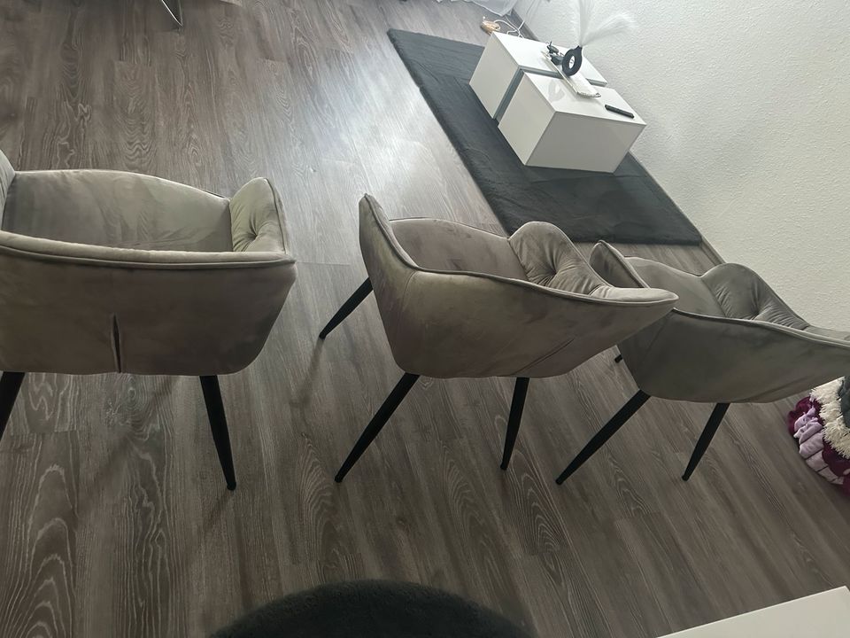 Samt Stühle in grau 3 Stück in Lüdenscheid