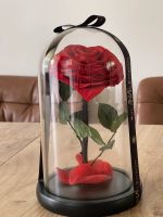 Rose im Glas “Grand Amour“ Rot von Miss Anna Bouquets Wandsbek - Steilshoop Vorschau