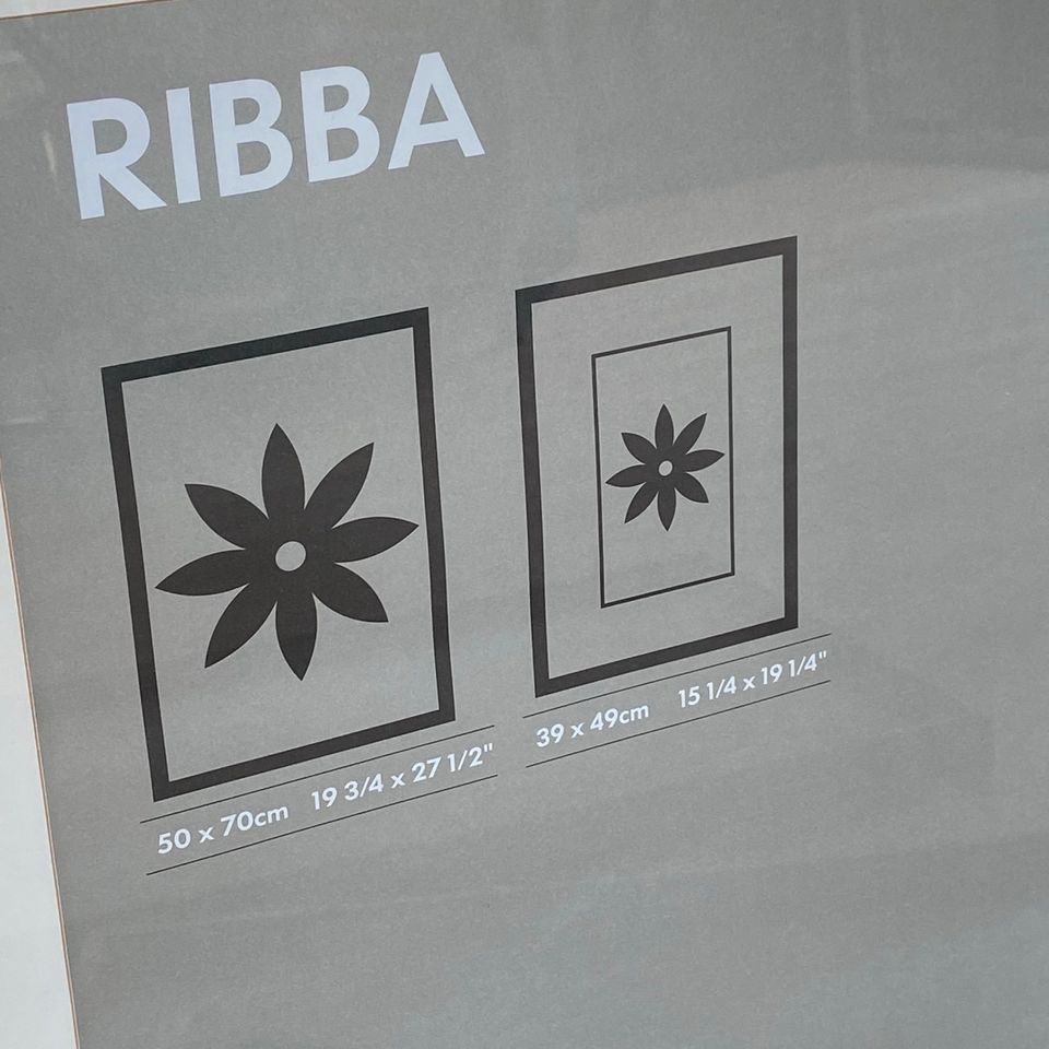 4 Bilderrahmen IKEA Ribba (1 x 30x88cm, 3 x 50x70cm) in Neustadt in Holstein