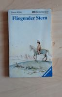 Buch Fliegender Stern, Taschenbuch Bayern - Witzmannsberg Vorschau