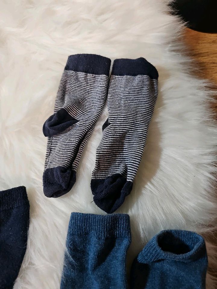 5 Paar Socken in Größe 23-26 in Nittendorf 