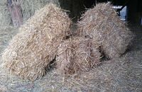 Stroh kleine Strohballen für Beete Garten Hochbeete Kleingarten Schleswig-Holstein - Barsbüttel Vorschau