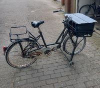 Zwei Kurier Fahrräder zu verkaufen Niedersachsen - Norden Vorschau