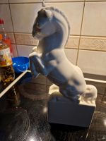 Porzellan/Keramik?Pferd mit Stempel Köln - Porz Vorschau