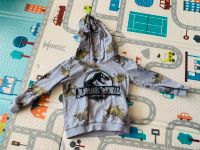 Hoodie Gr. 110 Jurassic World Kapuzen Pullover Sommer Nordrhein-Westfalen - Hamm Vorschau