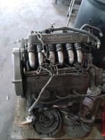 Alfa 155 Motor Schleswig-Holstein - Wewelsfleth Vorschau