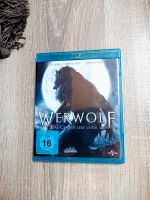 Werwolf Blue Ray Niedersachsen - Salzhemmendorf Vorschau