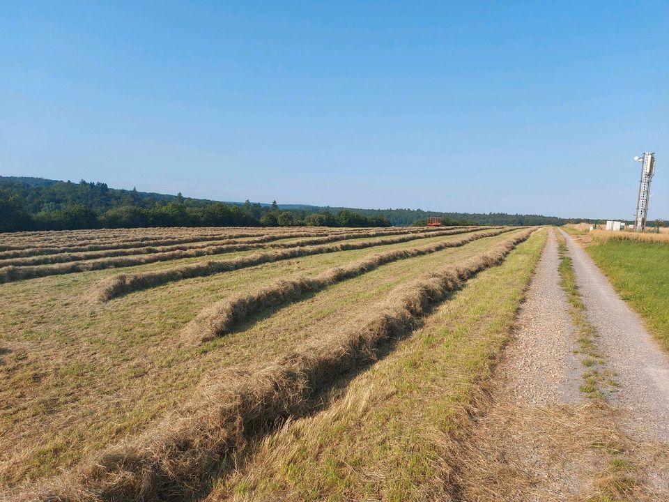 Verkaufe kleine HD Ballen Heu Ernte 2023 in Karlsbad