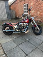 SCS-Harley mit Evolution Motor Herzogtum Lauenburg - Lauenburg Vorschau