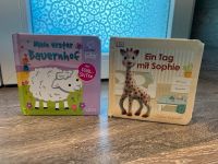 Baby Bücher Baden-Württemberg - Wangen im Allgäu Vorschau