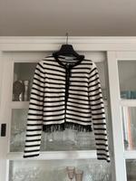 Mango Blazer Jacke Gr. S Nordrhein-Westfalen - Höxter Vorschau
