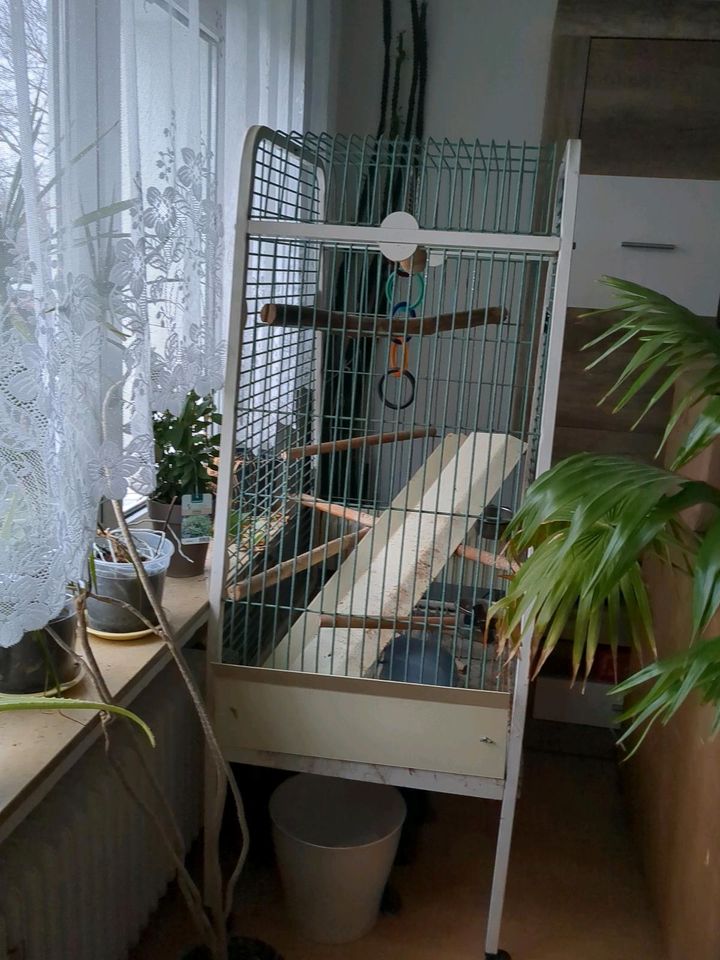 Vogel Käfig in Nörvenich