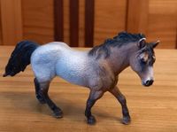 Schleich Quarter Horse Hengst Kr. Altötting - Pleiskirchen Vorschau