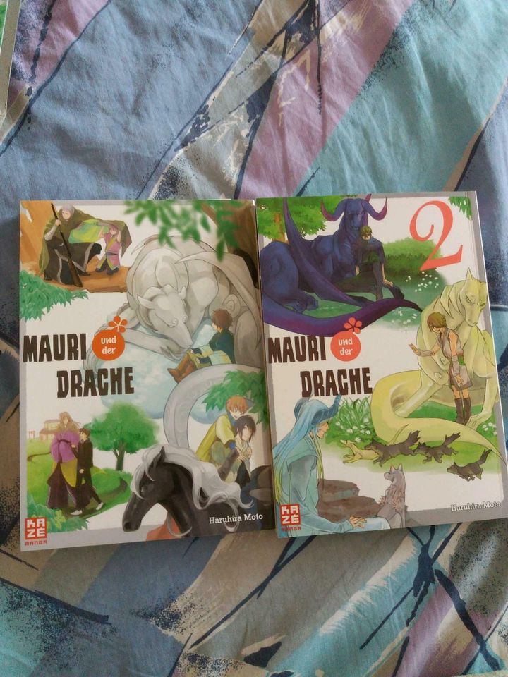 Mauri und der drache 1-2 abgeschlossen ink versand in Seelze