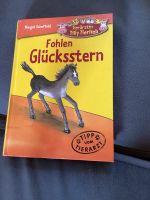 Fohlen Glücksstern Buch Niedersachsen - Elze Vorschau