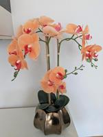Orange farbene Orchidee im Bronze Designtopf ABELLA Flora / QVC Hessen - Selters Vorschau