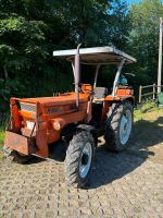 Traktor Fiat R450 DT Allrad mit Frontlader Bayern - Waffenbrunn Vorschau