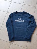 Pulli Hollister S Bonn - Ückesdorf Vorschau