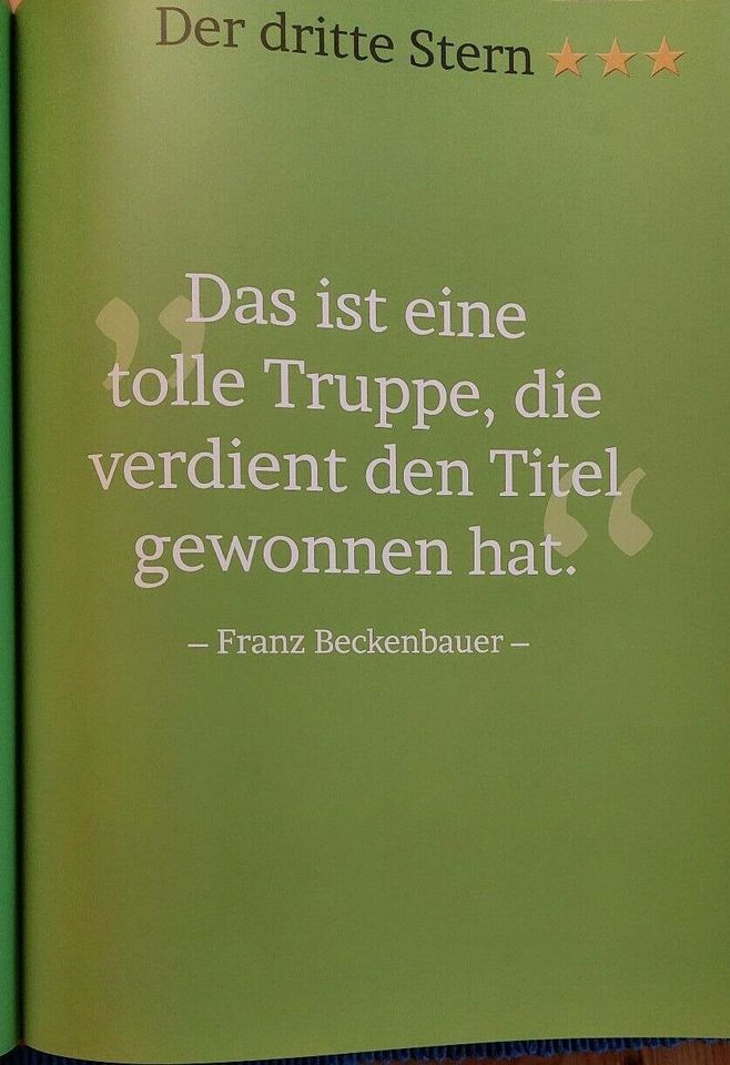 Buch: Weltmeister - Die Chronologie der vier Triumphe in Gronau (Leine)